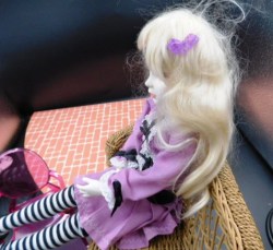 bjd 2 side a